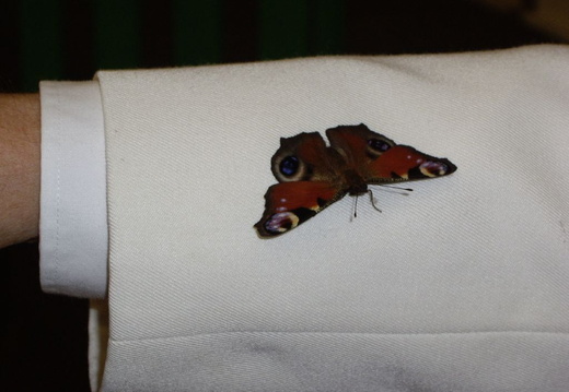 imgp0829  1024x768 
