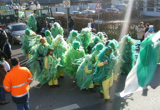 karneval08 268